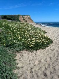 Davenport, California