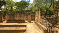 Ancient City Ruins of Gedi - Kenya