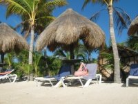 HOLIDAY IN THE SUN