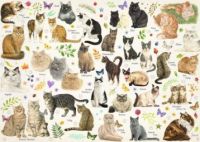 Lots of Kitties