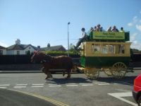 The new forest bus company