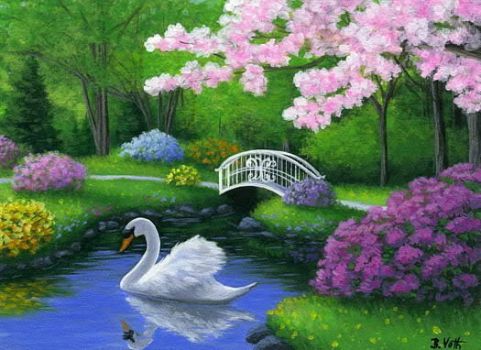 Swan in Garden