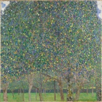 Hrušeň - Pear Tree - 1903