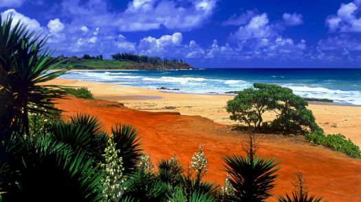 red Hawaiian beach