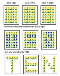 Flower Garden solution