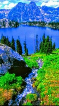 Rocky Mountain Blues Rocky Mountain Blues