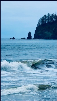Coast in Washington state