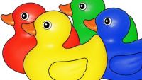 Rubber Duckies - Large