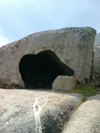 Elephant hidyhole