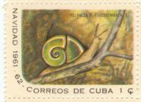 Cuban snail stamp 3