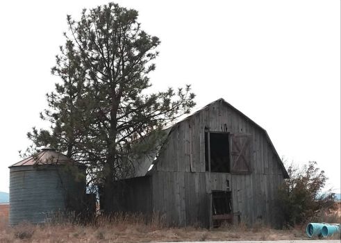 Old Barn on 41