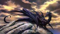 black dragon perched on rock