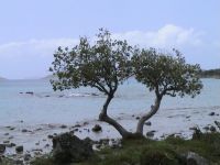 St John
