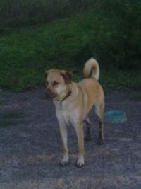 watching sascha at the pond