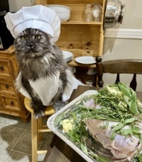 Promoted to Executive Chef  ...  rocking that toque hat like a pro!