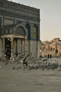 Feeding the birds