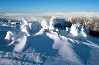Krkonoše 4