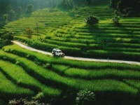 journey around the world