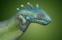 hand iguana
