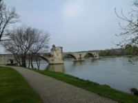 Avignon Bridge 1