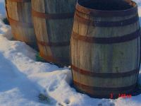 Old Whiskey Barrels 