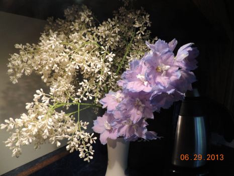 Delicate Delphinium and 1 lilac from our tree
