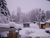 My yard last wiinter