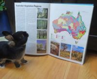 Reading up on my new friends from Down Under