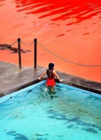 red algae in australia