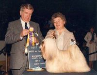 Alamo winning the breed at the Garden 83