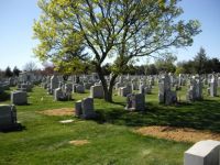 Holy Cross Cemetery, Yeadon, PA