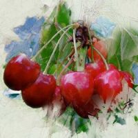 Cherries by Joern McArt