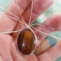 beginning heirloom tig'ers eye