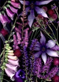 Flowers & Herbs