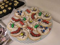 Insects Cakes