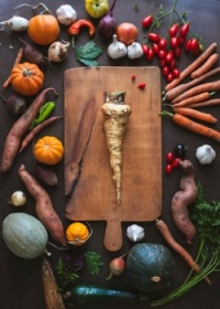 Autumn Garden Harvest
