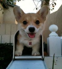 Hello!! You got mail!