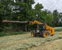 Removing tree