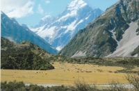 Mount Cook in New Zealand