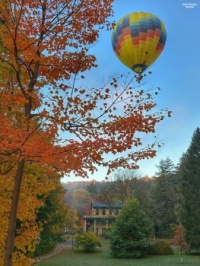 October 25. 2024 in NYS - Copy