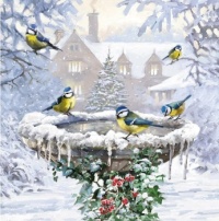 Seasonal Art - Winter - Birds - Winter Birdbath