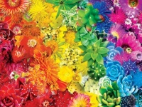 Rainbow Flowers #2