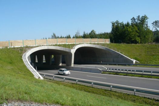 Most - bridge