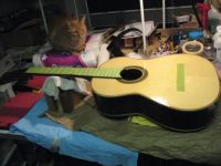 Papaya and guitar in progress - 2015