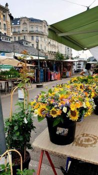 7.26 Naschmarkt - Vienna