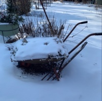 Ottawa Valley winter