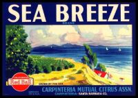 Sea Breeze brand