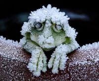 im cold