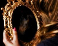 my beautiful horse in a mirror