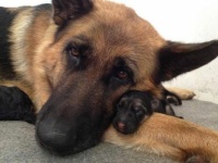 Mom and me